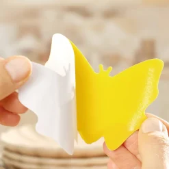 Anti-Nuisibles Et Anti-Insectes|Tempsl Attrappe moucherons ananas