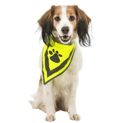Accessoires Animaux|Tempsl Bandana sécurité pour chien taille S/M