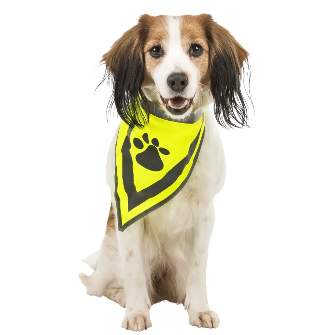 Accessoires Animaux|Tempsl Bandana sécurité pour chien taille S/M
