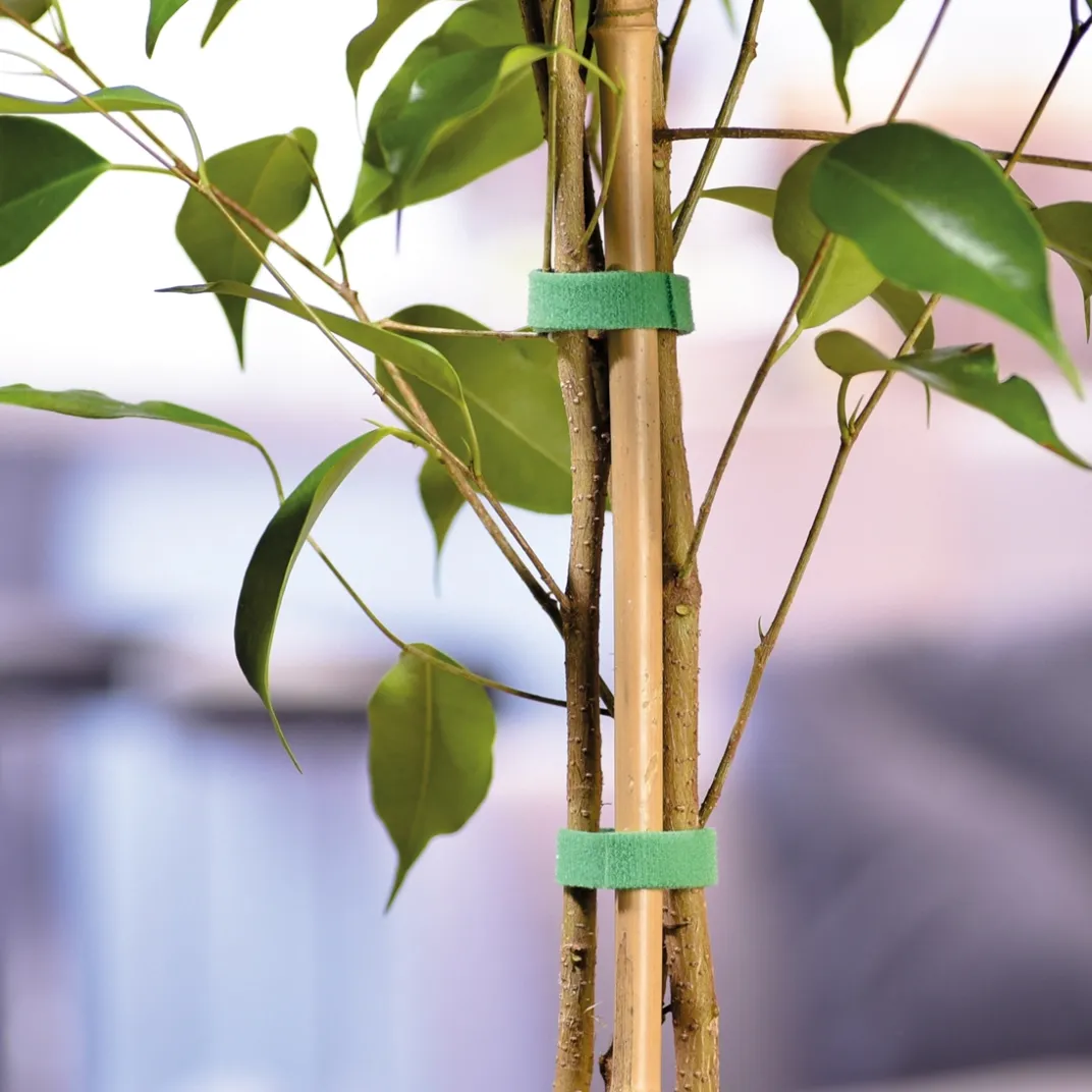 Accessoires Et Outils Jardin|Tempsl Bande auto agrippante 3 ou 5 mètres