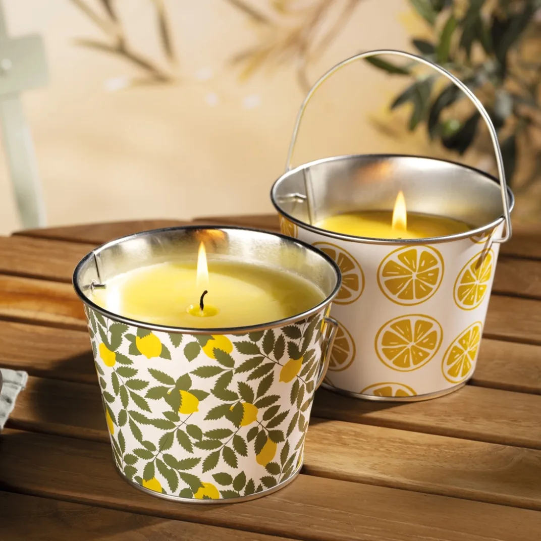 Anti-Nuisibles Et Anti-Insectes|Tempsl Bougie citronelle