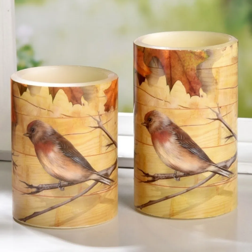 Décorations|Tempsl 2 bougies LED automne