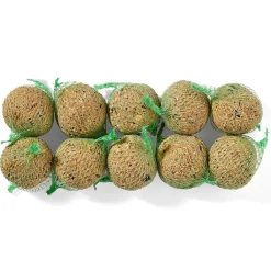 Accessoires Animaux|Tempsl 10 boules de graines