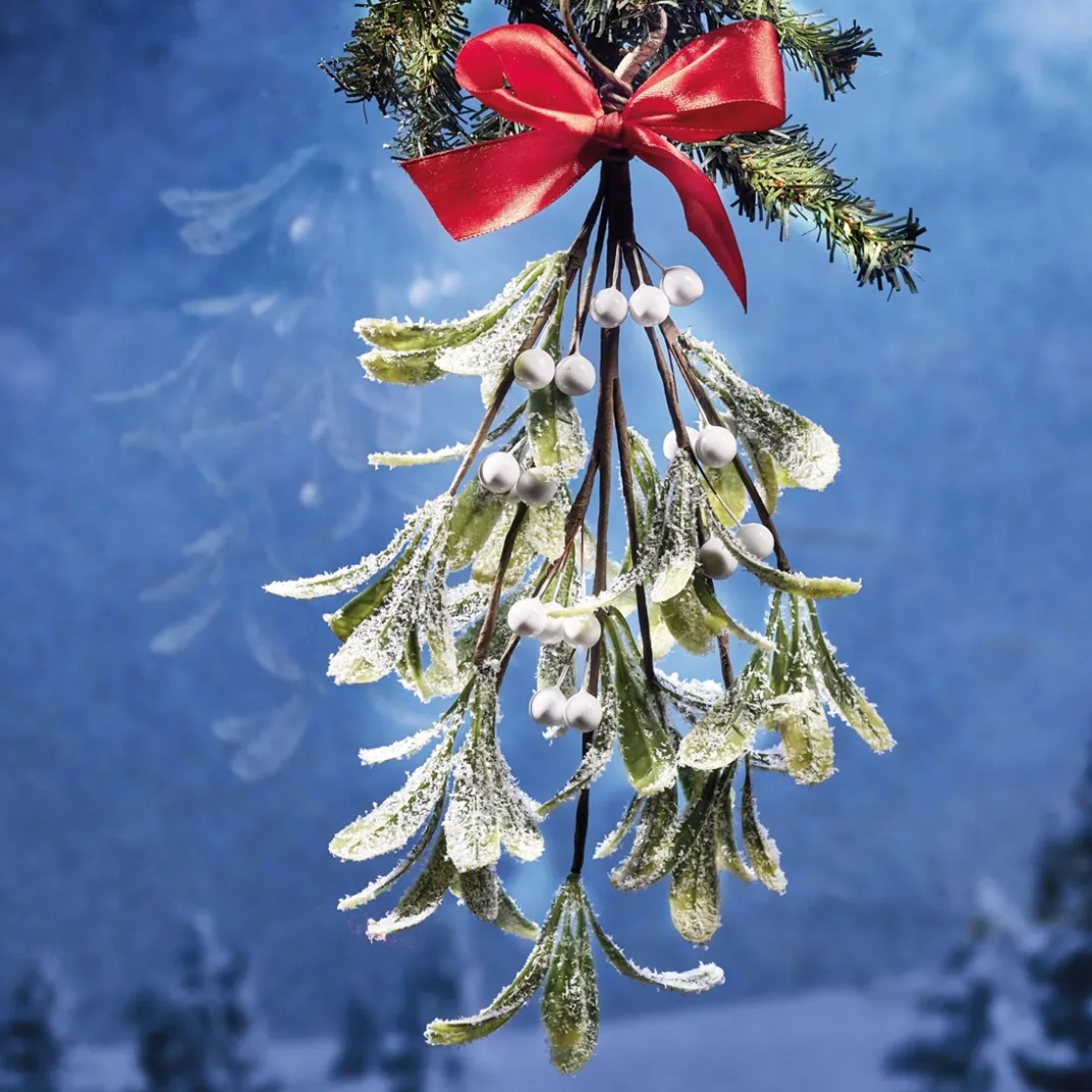Décorations Intérieures Noël|Décorations Extérieures Noël|Tempsl Branche de gui