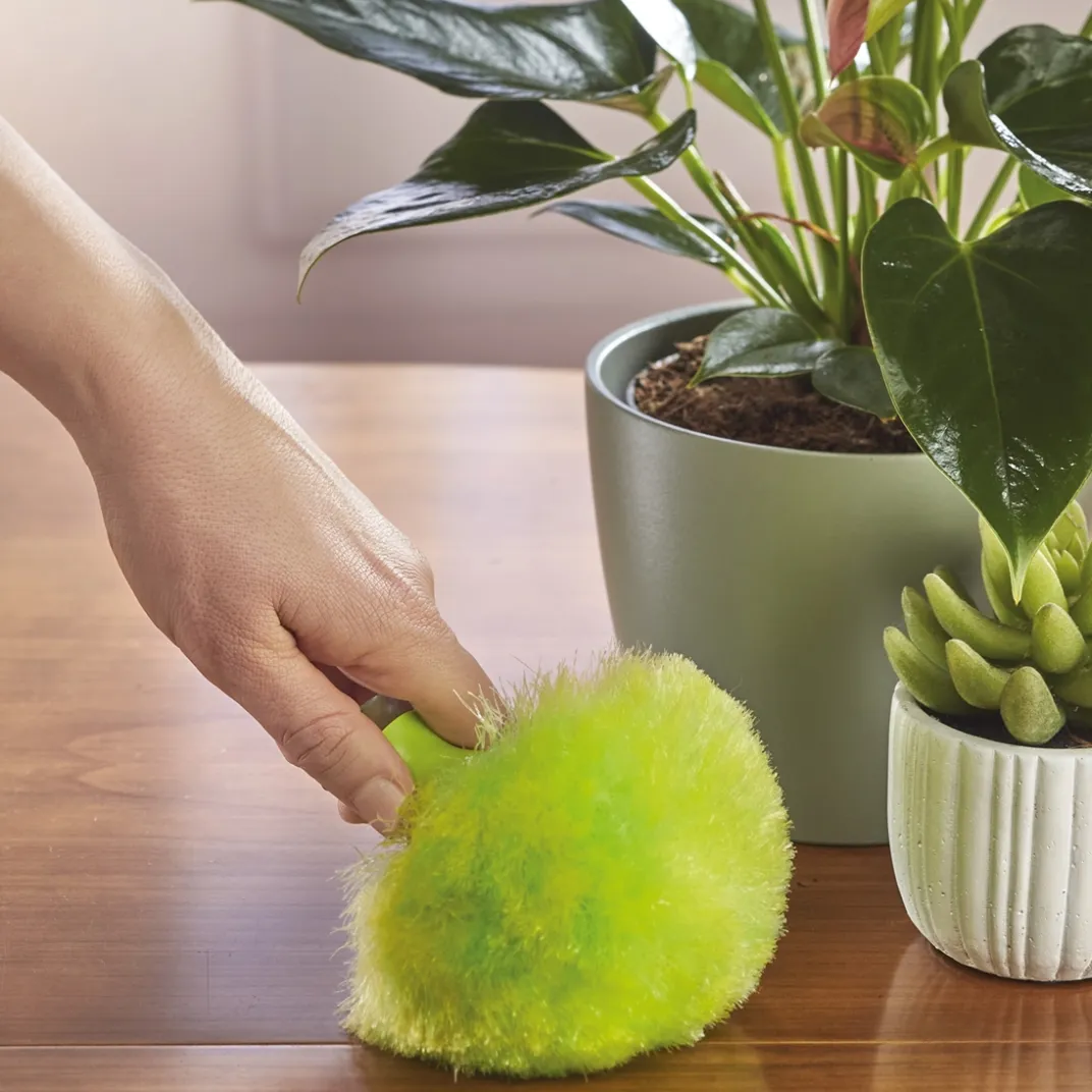 Balais, Aspirateurs, Éponges Et Brosses|Tempsl Brosse pompon