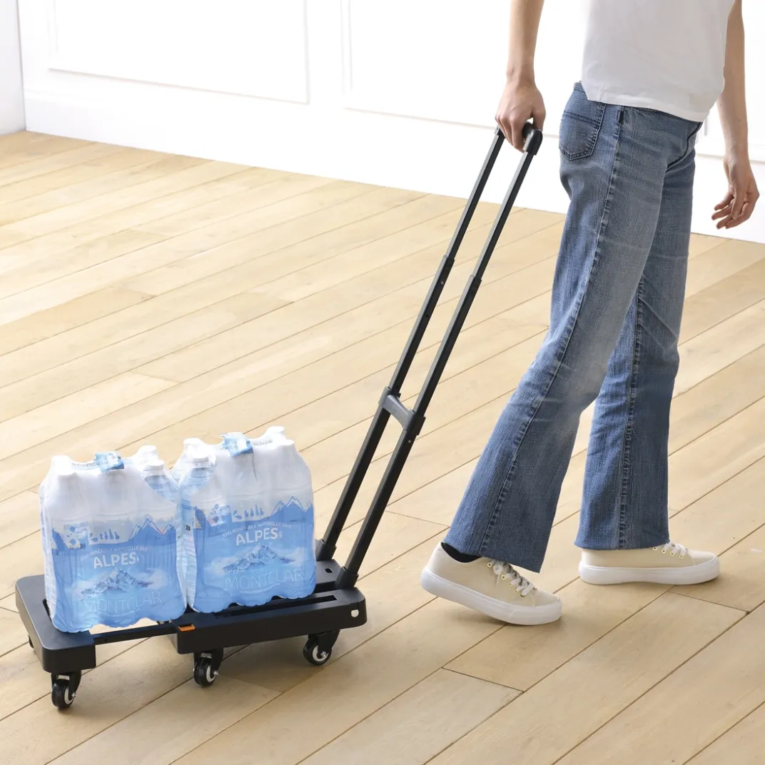Organisation Et Entretien|Tempsl Chariot pliable