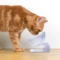 Accessoires Animaux|Tempsl Duo de gamelles surélevées forme chat