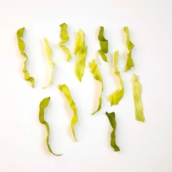 Découpe|Ustensiles De Cuisine Malins|Tempsl Eminceur salade