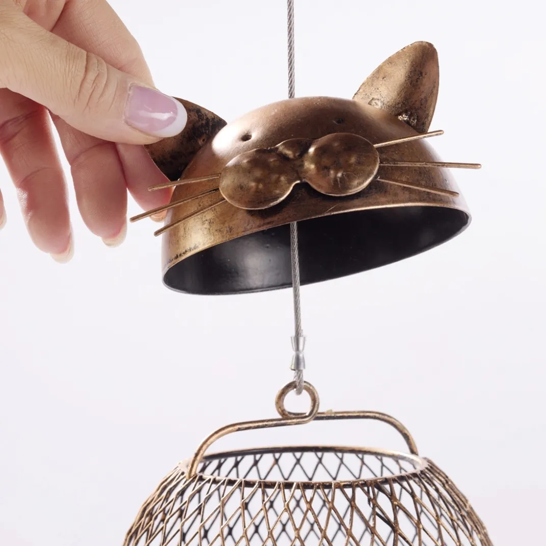 Accessoires Animaux|Tempsl Graines pour oiseaux (1 kg)