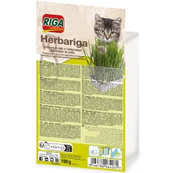 Accessoires Animaux|Tempsl Herbe fraîche pour chat