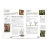 Accessoires Et Outils Jardin|Tempsl Livre "Taillez vos arbres et arbustes"