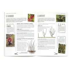 Accessoires Et Outils Jardin|Tempsl Livre "Taillez vos arbres et arbustes"