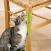 Accessoires Animaux|Tempsl Lot de 2 grattoirs chats