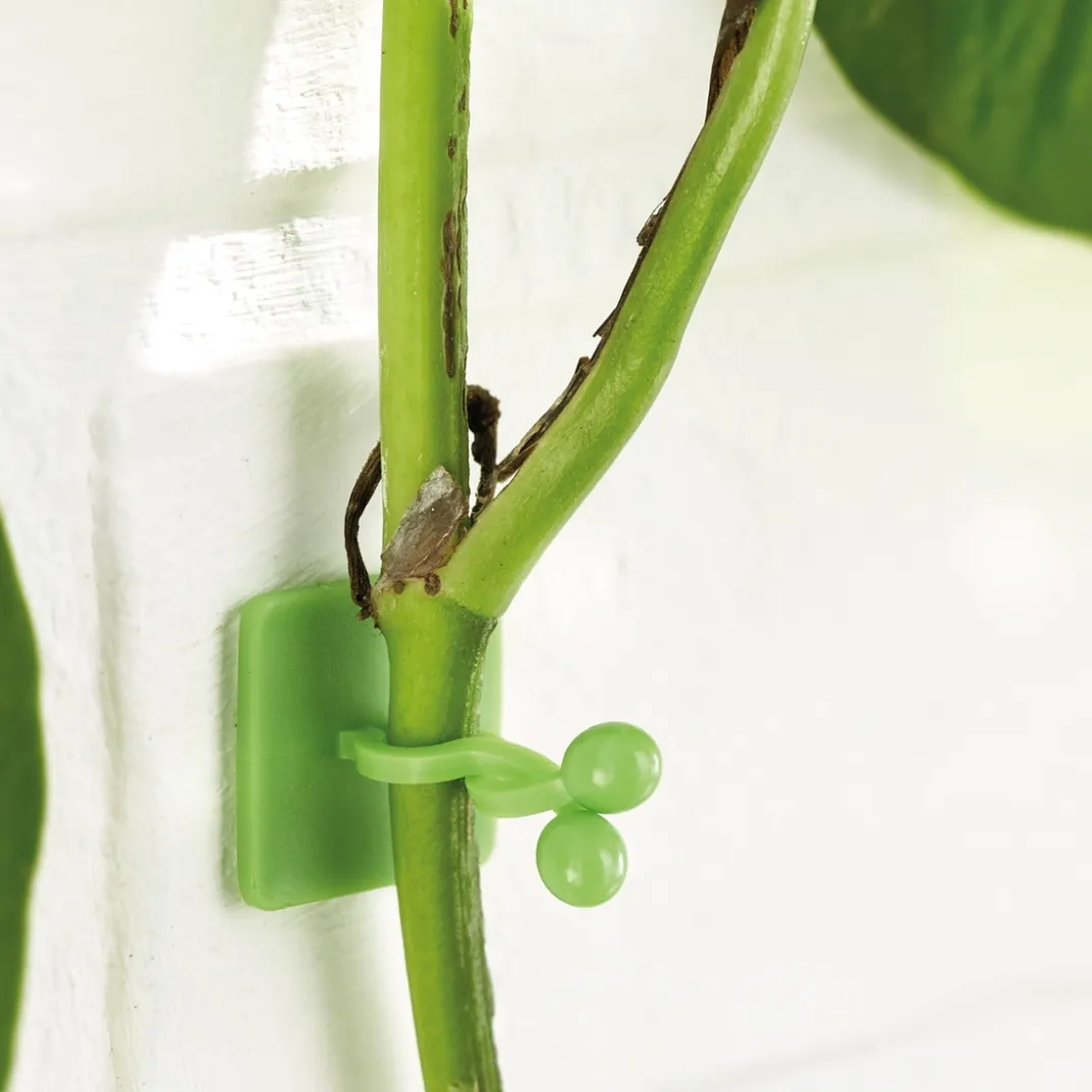 Accessoires Et Outils Jardin|Tempsl Lot de 50 guides de croissance