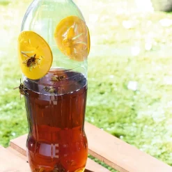 Anti-Nuisibles Et Anti-Insectes|Tempsl Lot de 6 pièges à guêpes pour bouteilles
