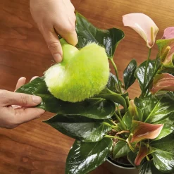 Balais, Aspirateurs, Éponges Et Brosses|Tempsl Lot de 2 pompons anti-poussière