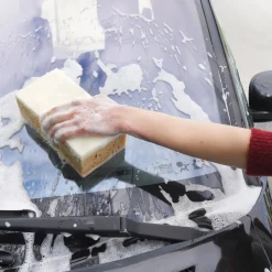 Accessoires Voiture|Tempsl Lot de 2 éponges enlève moustiques