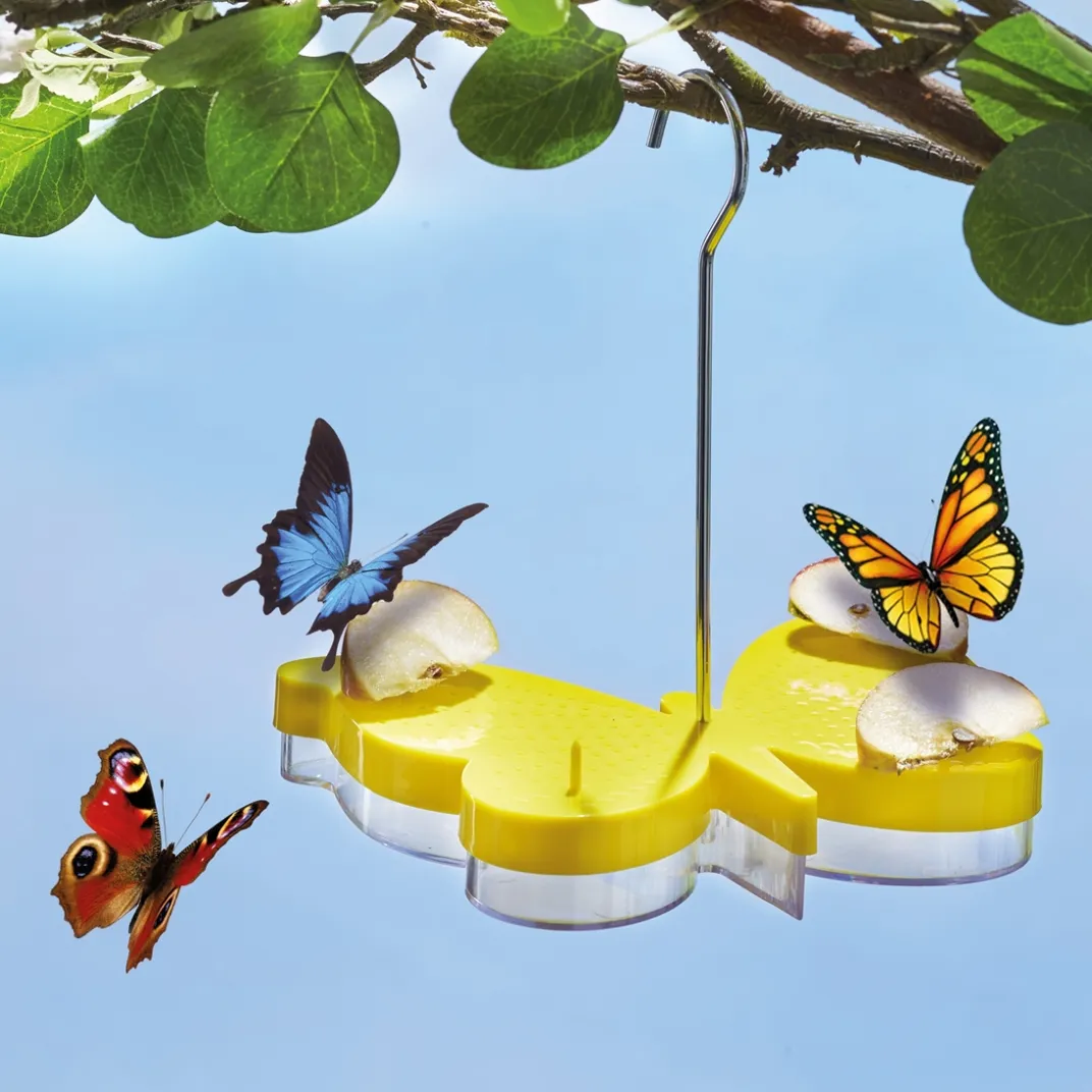 Accessoires Animaux|Tempsl Mangeoire pour papillons