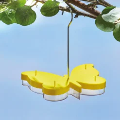 Accessoires Animaux|Tempsl Mangeoire pour papillons