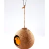 Accessoires Animaux|Tempsl Nichoir coco pour oiseaux