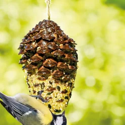 Accessoires Animaux|Tempsl Nourriture oiseaux pomme de pin géante