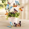 Décorations|Décorations Jardin Et Extérieur|Tempsl 18 papillons phosphorescents