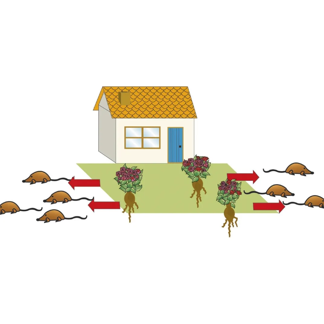 Accessoires Et Outils Jardin|Tempsl Plante anti taupes