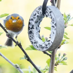 Accessoires Animaux|Tempsl Plateau plaisirs pour oiseaux