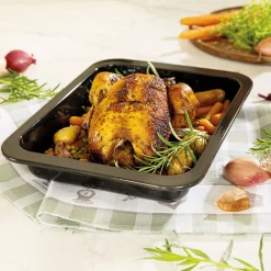 Cuisson Et Accessoires|Tempsl Plat à four émaillé