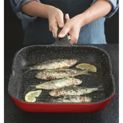 Cuisson Et Accessoires|Tempsl Poêle grill fonte d'aluminium Pradel France ®