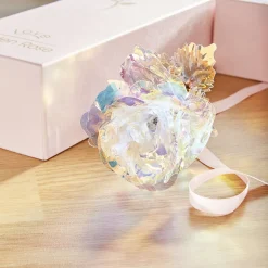 Décorations|Tempsl Rose dans son coffret