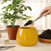 Accessoires Et Outils Jardin|Tempsl Set d'outils de jardin d'intérieur