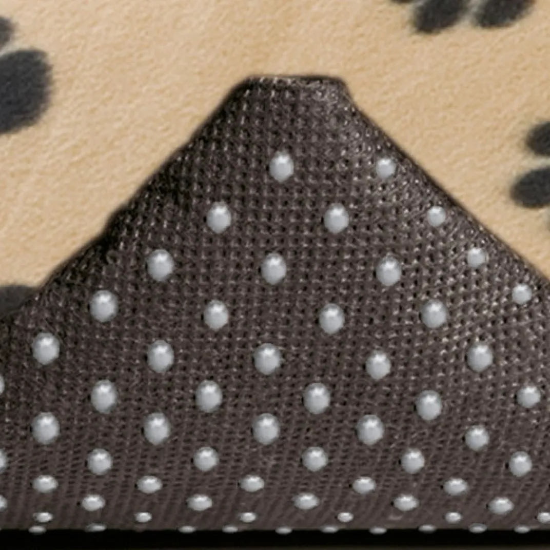 Accessoires Animaux|Tempsl Tapis antipoils pour chien