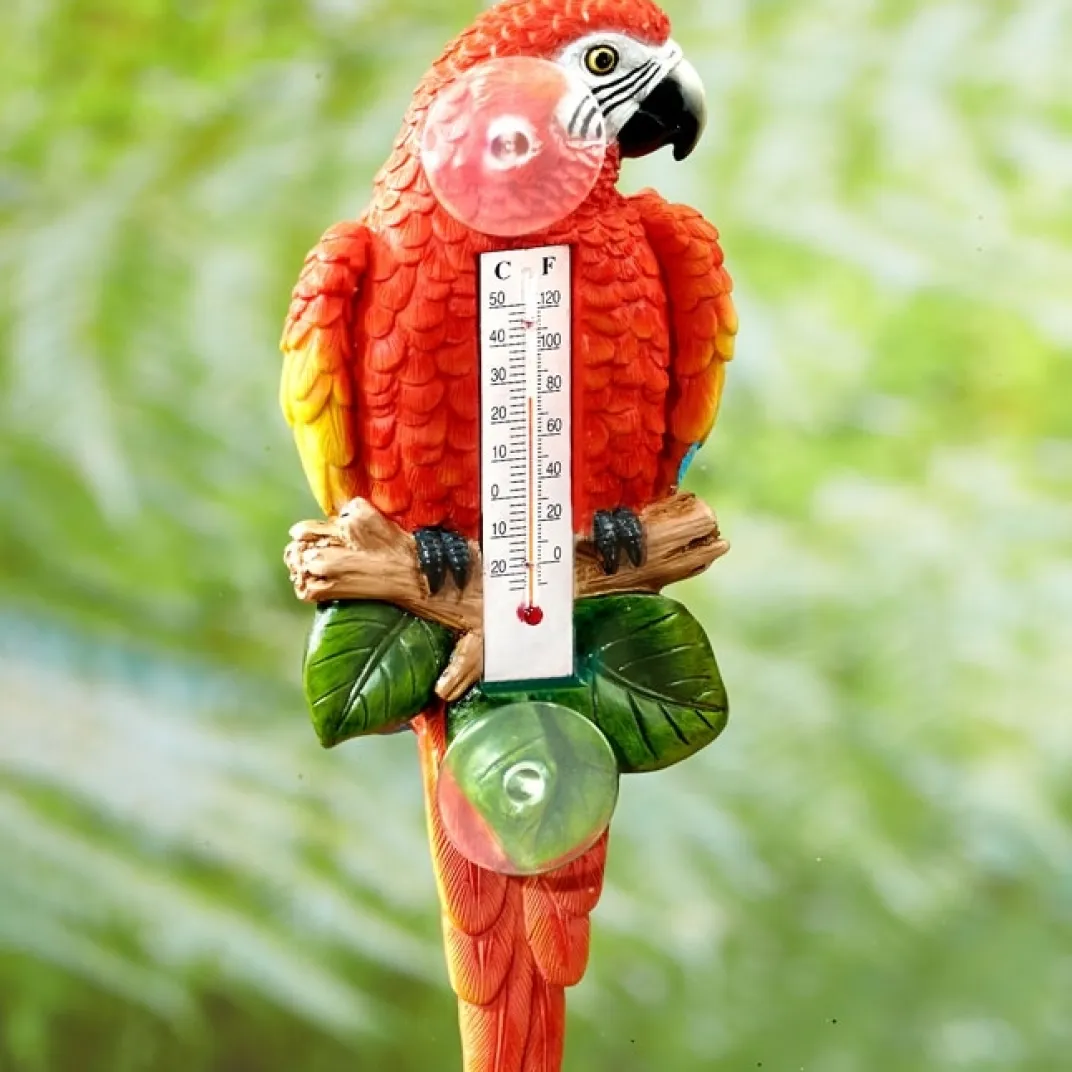 Décorations|Tempsl Thermomètre perroquet